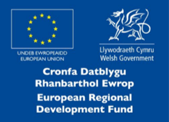 WEFO Logo